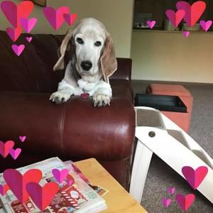 Meet your Posher, Jaime